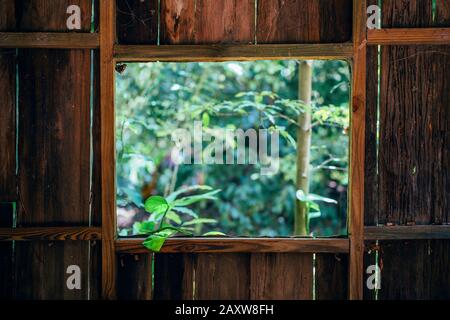 A beautiful view of summer from the old rustic wooden window. Stock Photo
