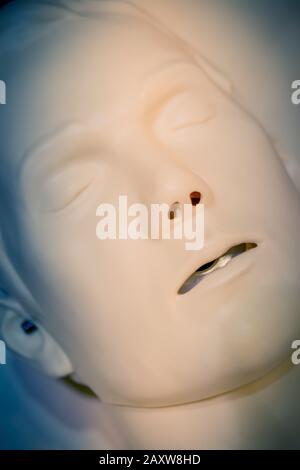 One Layout medical mannequin face man with open mouth close-up, medical exhibit Stock Photo