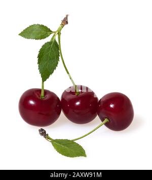 Cherries isolated on white background Stock Photo