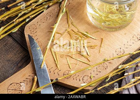 Peeling off bark from white willow branches to prepare herbal tincture - a natural alternative to aspirin Stock Photo