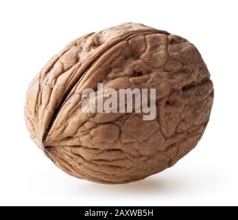 Wulnut isolated on white background Stock Photo