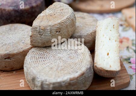 goat cheese on a trade counter. daylight Stock Photo