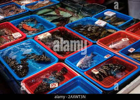 variety of fish and seafood for sale on market , Hong Kong, China - Stock Photo