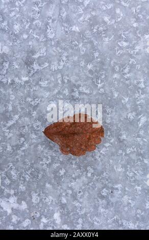 frozen ice abstract background. Stock Photo