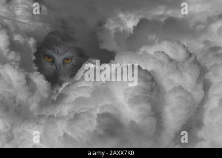 Big Brother is watching you Stock Photo