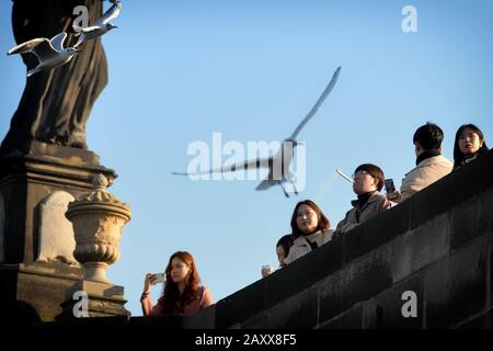 Prague, Czech Republic. 13th Feb, 2020. People feeding birds on the Charles bridge over Vltava river in capital city Prague, Czech Republic. Credit: Slavek Ruta/ZUMA Wire/Alamy Live News Stock Photo