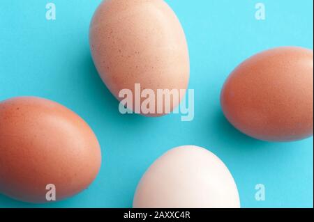 Four fresh raw whole eggs pointing towards the center on a blue background in different shades of brown through white Stock Photo