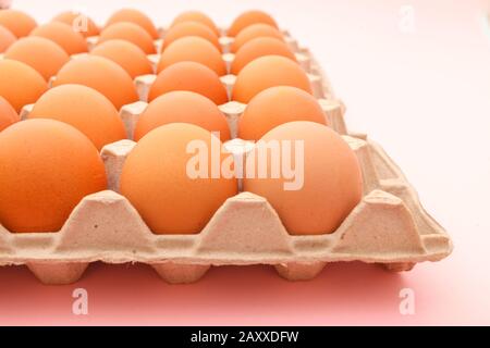 Brown cage free chicken eggs in carton, close up on pink background. easter card Stock Photo