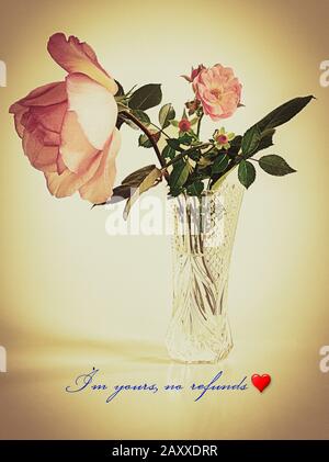 VALENTINE'S DAY CARD: I'm yours, no refunds Stock Photo