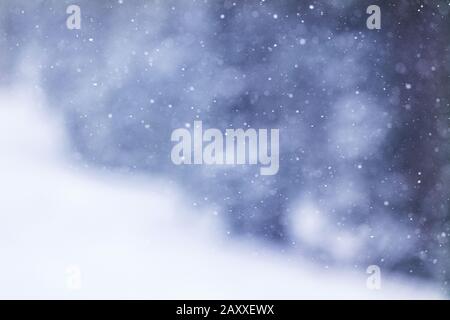 Snowflakes falling in winter blizzard storm; Monarch Mountain; Colorado Rockies; USA Stock Photo