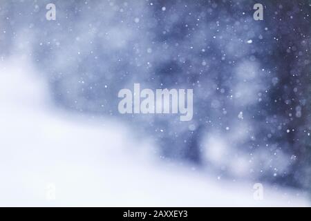 Snowflakes falling in winter blizzard storm; Monarch Mountain; Colorado Rockies; USA Stock Photo