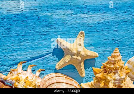 Border with sea shells and starfish on a background of blue painted wooden boards with copyspace for your text Stock Photo