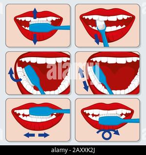 Correct tooth brushing vector infographics. Dental brushing  tooth and toothbrush using brushing, brushing banner illustration Stock Vector