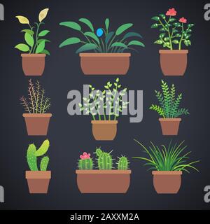 House plants, flowers in pots. Vector home flowers in pots with green leaves Stock Vector
