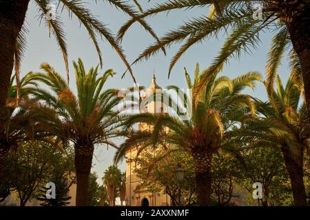 Sunny day in palm park next to church, Ragusa, Italy Stock Photo
