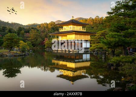 View of Kinkakuji the famous Golden Pavilion with Japanese garden and pond with dramatic evening sky in autumn season at Kyoto, Japan. Japan Landscape Stock Photo