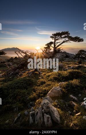 Sunset trough the mountains in Pollino National Park Stock Photo