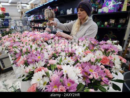 St. Louis, United States. 13th Feb, 2020. Walter Knoll workers assemble Cutie Pies floral arrangements, to be delivered on Valentines Day in St. Louis on Thursday, February 13, 2020. Photo by Bill Greenblatt/UPI Credit: UPI/Alamy Live News Stock Photo