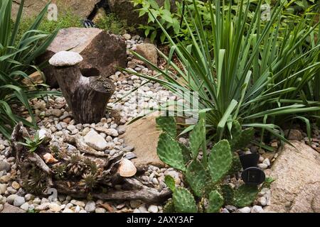 Rock bed border with Agave, Cacti - Succulent plants in backyard garden in summer. Stock Photo