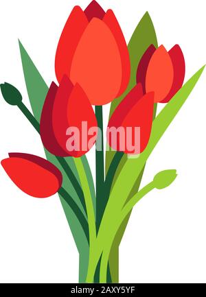 Festive vector illustration with branches of tulip flowers and green leaves. Bouquet of red tulips isolated on white. Floral composition for bright Stock Vector