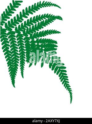 fern leaves silhouette illustration Stock Vector