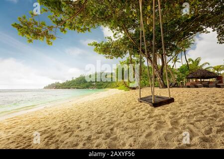 Rope swing swings on a tropical beach. Exotic palm trees and blue sky. Holiday serenity vacation concept Stock Photo