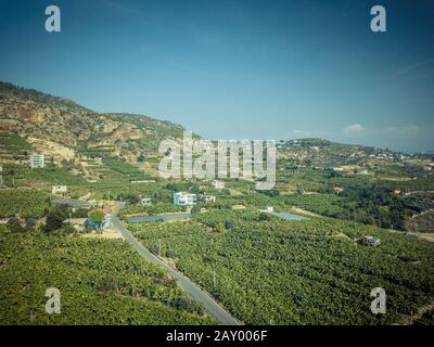 Banana plantation from a bird's-eye view in Turkey Stock Photo