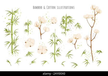 Ecological and eco friendly textile sourses - cotton brunches and flowers, bamboo stems with leaves compositions isolated on white background. Bamboo Stock Vector
