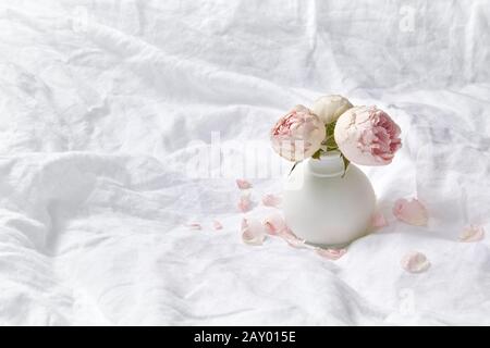 Greeting card with crumpled white sheets on bed and small ceramic vase of fresh natural organic roses flowers, copy space. Valentine's day greeting ca Stock Photo