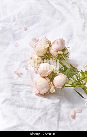 Congratulation Valentine's card with fresh natural organic roses flowers on a light crumpled sheets of bed with copy space. Valentine's day greeting c Stock Photo