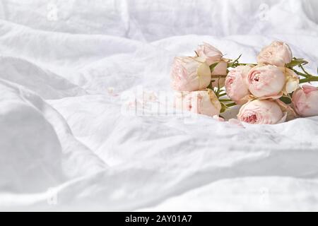 Valentine's card with fresh natural aromatic roses flowers on white crumpled sheets on bed with copy space. Valentine's day greeting card. Stock Photo
