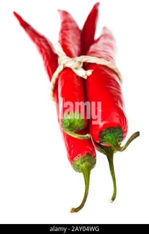 Chili bundles on white background Stock Photo