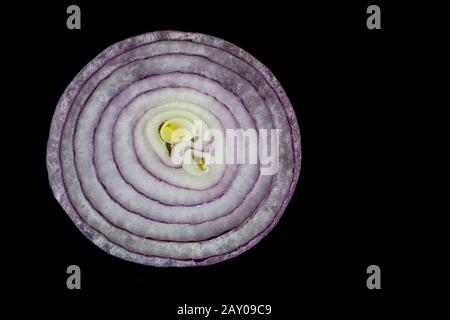 half of a big red onion in detail on black background Stock Photo