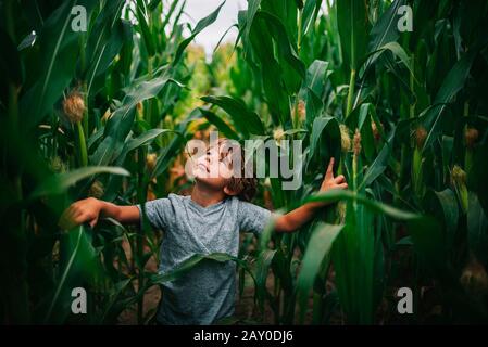 Boy playing in a corn field, USA Stock Photo