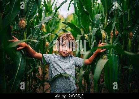 Portrait of a boy standing in a corn field, USA Stock Photo