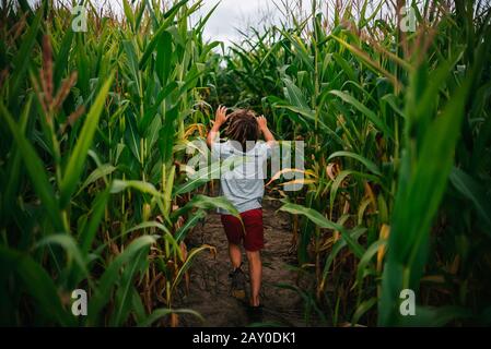 Portrait of a boy running through a corn field, USA