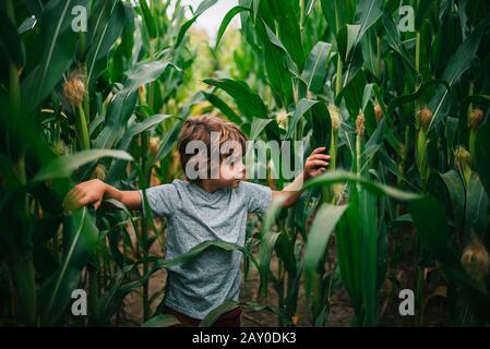 Boy playing in a corn field, USA Stock Photo