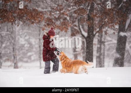 Girl standing in the snow playing with her golden retriever dog, Wisconsin, USA Stock Photo