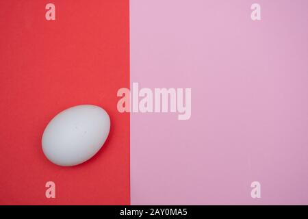Easter holiday flat lay with white egg on a solid bright red and pink vibrant background with copy space. Stock Photo