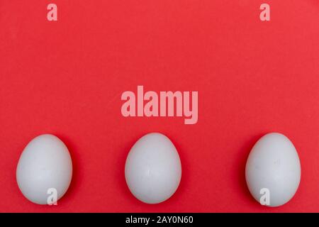 Three Easter holiday flat lay with white egg on a solid bright red vibrant background with copy space on top. Stock Photo