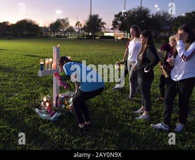 PARKLAND, FL - FEBRUARY 16: A young women places flowers at a memorial site that honors victims of the mass shooting at Marjory Stoneman Douglas High School, at Pine Trail Park on February 16, 2018 in Parkland, Florida. Police arrested 19-year-old former student Nikolas Cruz for killing 17 people at the high school.   People:  Atmosphere Stock Photo