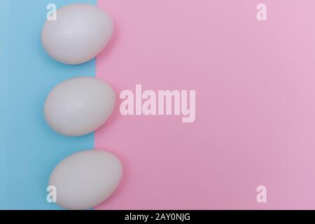 Three Easter holiday flat lay with white egg on a solid light blue, and pink pastel background with copy space. Stock Photo