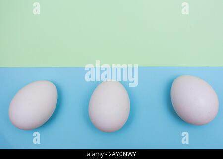 Three Easter holiday flat lay with white egg on a solid light green over blue pastel background with copy space on top. Stock Photo