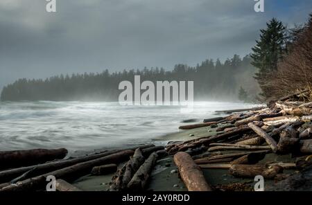 Driftwood on beach, Pacific Rim National Park Reserve, Vancouver Island, British Columbia, Canada Stock Photo