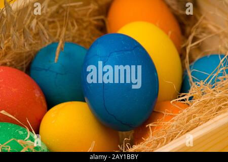 Multicolored Easter eggs in a nest . close up Stock Photo