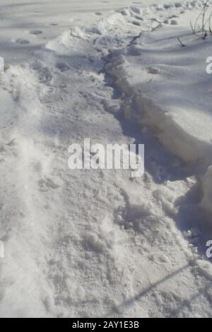 path in white snow on a sunny winter day. Stock Photo