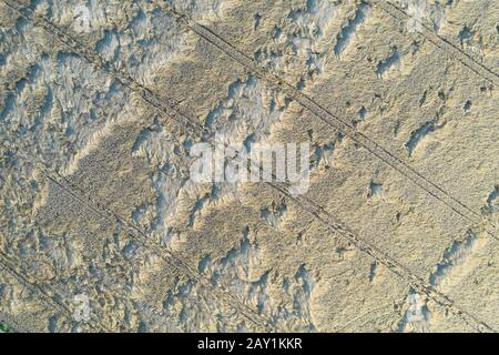 Beautiful aerial view of grain fields during golden sunset. Bird's eye top view of wheat meadows before harvest season. Stock Photo