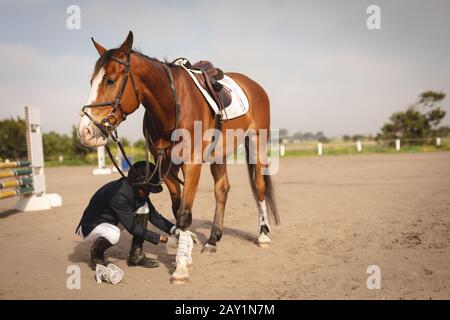 Man preparing his horse before dressage horse jumping event Stock Photo