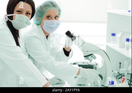 Two female scientists working at the laboratory with microscope Stock Photo