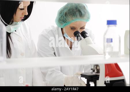 Working in lab with microscope Stock Photo